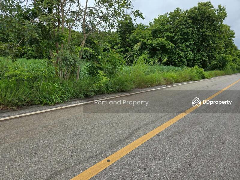 ขาย - ขายที่ดินเกษตรไผ่ใหญ่ 51-1-56 ไร่ ดินดำโดยธรรมชาติ เป็นที่เนิน น้ำไม่ท่วม, อุตรดิตถ์