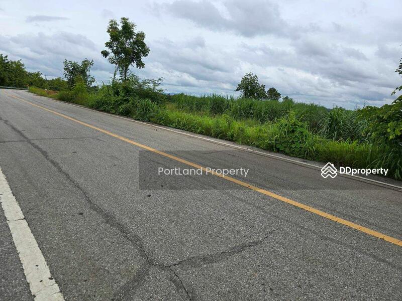 ขาย - ขายที่ดินเกษตรไผ่ใหญ่ 51-1-56 ไร่ ดินดำโดยธรรมชาติ เป็นที่เนิน น้ำไม่ท่วม, อุตรดิตถ์