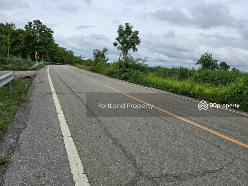 ขาย - ขายที่ดินเกษตรไผ่ใหญ่ 51-1-56 ไร่ ดินดำโดยธรรมชาติ เป็นที่เนิน น้ำไม่ท่วม, อุตรดิตถ์