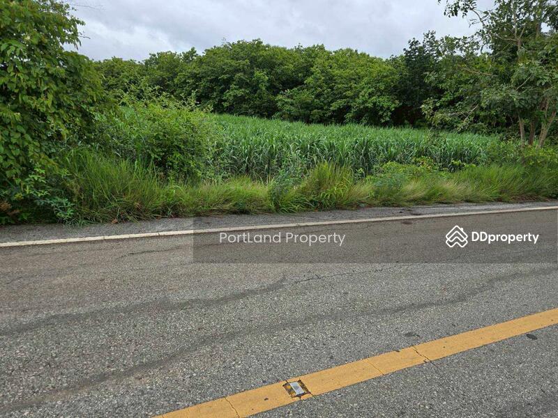 ขาย - ขายที่ดินเกษตรไผ่ใหญ่ 51-1-56 ไร่ ดินดำโดยธรรมชาติ เป็นที่เนิน น้ำไม่ท่วม, อุตรดิตถ์