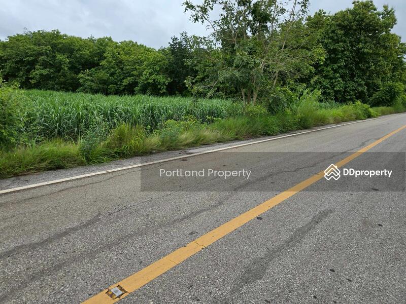 ขาย - ขายที่ดินเกษตรไผ่ใหญ่ 51-1-56 ไร่ ดินดำโดยธรรมชาติ เป็นที่เนิน น้ำไม่ท่วม, อุตรดิตถ์