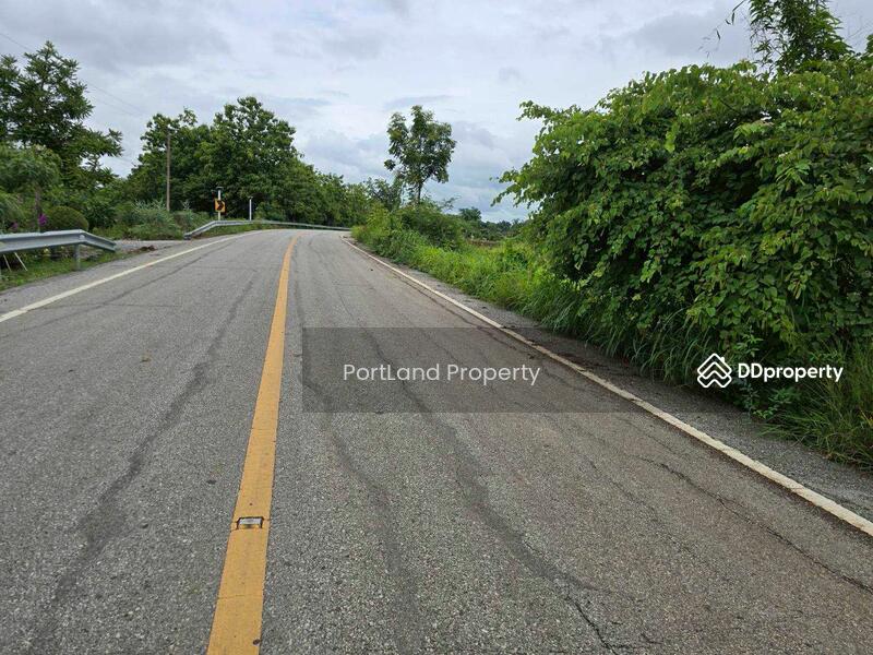 ขาย - ขายที่ดินเกษตรไผ่ใหญ่ 51-1-56 ไร่ ดินดำโดยธรรมชาติ เป็นที่เนิน น้ำไม่ท่วม, อุตรดิตถ์