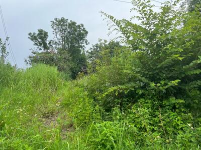 ขาย - ที่ดินฝาง เชียงใหม่, เชียงใหม่