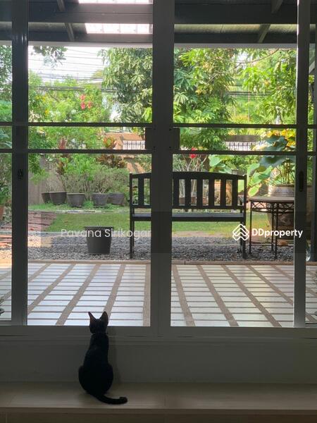 For Rent - 74 Sukhumvit 54, Bang Chak, Phra Khanong, Bangkok 10260, Bangkok