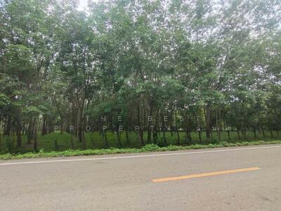 ขาย - ที่ดินคำเตย นครพนม, นครพนม