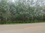 ที่ดินคำเตย นครพนม, นครพนม