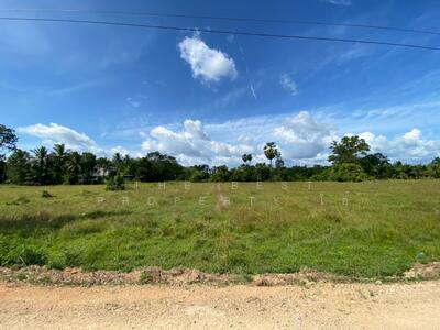 ขาย - ที่ดินรัตภูมิ สงขลา, สงขลา
