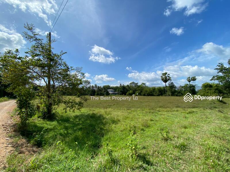 ขาย - ที่ดินรัตภูมิ สงขลา, สงขลา
