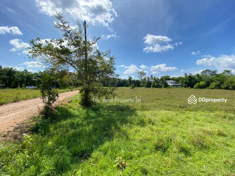 ขาย - ที่ดินรัตภูมิ สงขลา, สงขลา