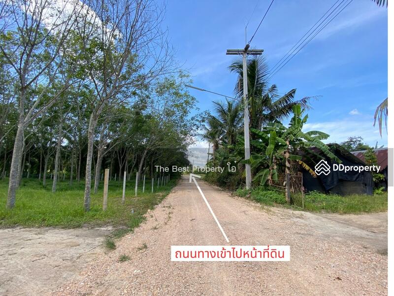 ขาย - ที่ดินรัตภูมิ สงขลา, สงขลา
