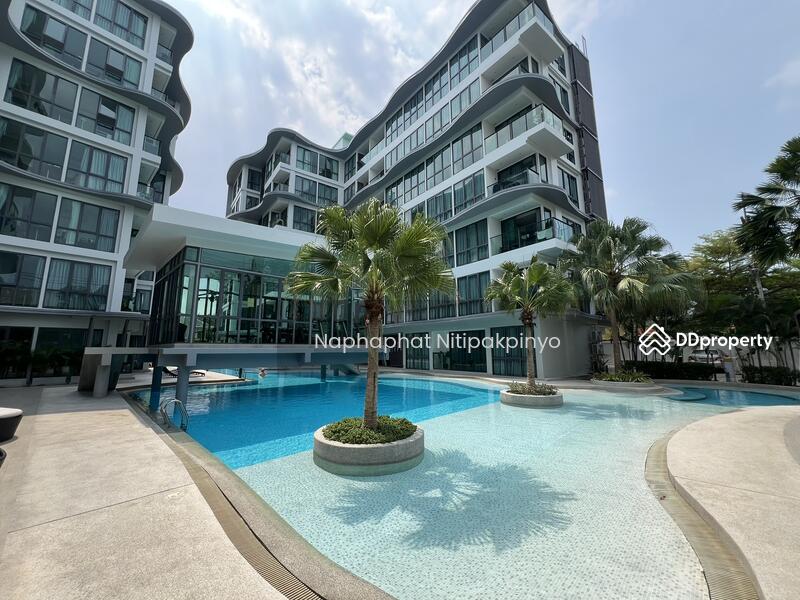 ให้เช่า - Sea Zen Condominium : ซี เซน คอนโดมิเนียม, ชลบุรี