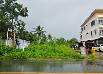 ขาย - ที่ดินปากนคร นครศรีธรรมราช, นครศรีธรรมราช