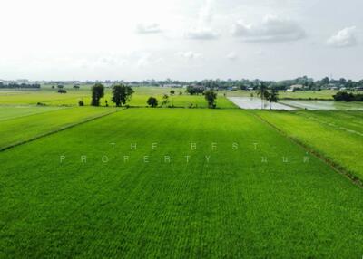 ขาย - ที่ดินวัดพริก พิษณุโลก, พิษณุโลก