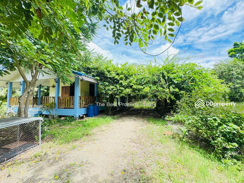 ขาย - บ้านเดี่ยวพร้อมที่ดินท่ายาง เพชรบุรี, เพชรบุรี