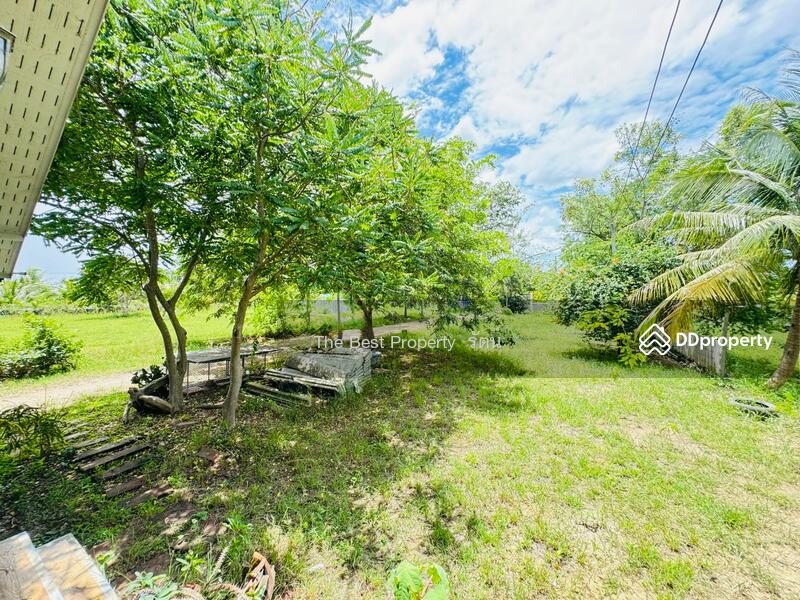 ขาย - บ้านเดี่ยวพร้อมที่ดินท่ายาง เพชรบุรี, เพชรบุรี