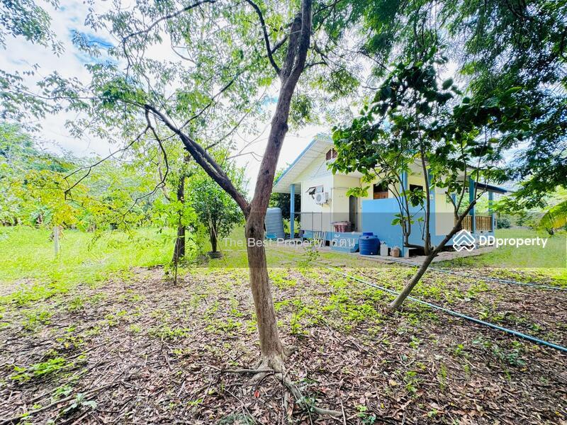 ขาย - บ้านเดี่ยวพร้อมที่ดินท่ายาง เพชรบุรี, เพชรบุรี