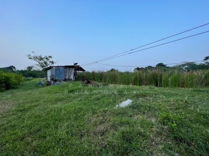 เชียรใหญ่ นครศรีธรรมราช, Nakhon Si Thammarat, -, Thong Lamchiak, Chian Yai, Nakhon Si Thammarat, , 2,816 sqm, Land For Sale, by Panuwat Ruangrak, 60057899 - DDproperty.com