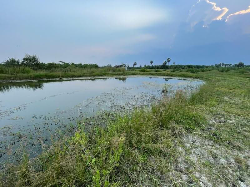 เชียรใหญ่ นครศรีธรรมราช, Nakhon Si Thammarat, -, Thong Lamchiak, Chian Yai, Nakhon Si Thammarat, , 2,816 sqm, Land For Sale, by Panuwat Ruangrak, 60057899 - DDproperty.com