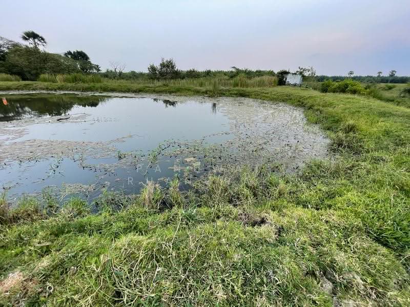 เชียรใหญ่ นครศรีธรรมราช, Nakhon Si Thammarat, -, Thong Lamchiak, Chian Yai, Nakhon Si Thammarat, , 2,816 sqm, Land For Sale, by Panuwat Ruangrak, 60057899 - DDproperty.com