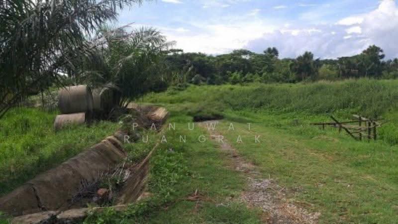 เชียรใหญ่ นครศรีธรรมราช, Nakhon Si Thammarat, -, Thong Lamchiak, Chian Yai, Nakhon Si Thammarat, , 2,816 sqm, Land For Sale, by Panuwat Ruangrak, 60057899 - DDproperty.com