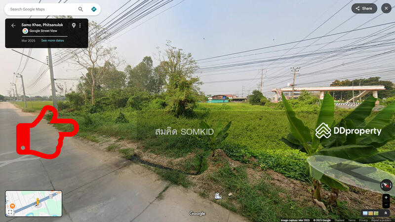 ขาย - ที่ดินสวยใจกลางโซนธุรกิจ อ.เมืองพิษณุโลก ติดถนนสาธารณะสองด้าน, พิษณุโลก