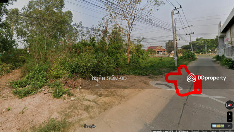 ขาย - ที่ดินสวยใจกลางโซนธุรกิจ อ.เมืองพิษณุโลก ติดถนนสาธารณะสองด้าน, พิษณุโลก