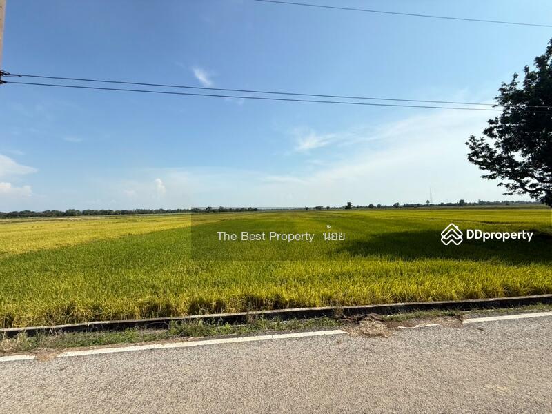 ขาย - ที่ดินคุ้งตะเภา อุตรดิตถ์, อุตรดิตถ์