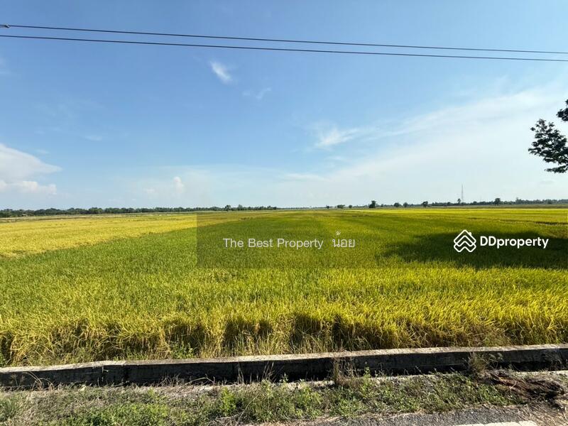 ขาย - ที่ดินคุ้งตะเภา อุตรดิตถ์, อุตรดิตถ์
