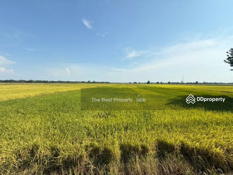 ขาย - ที่ดินคุ้งตะเภา อุตรดิตถ์, อุตรดิตถ์