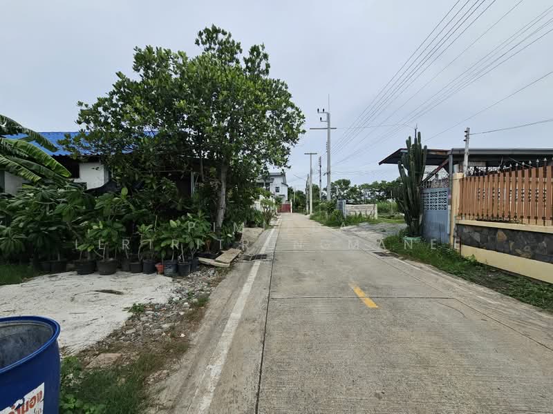 ที่ดิน ในตัวเมืองปทุมธานี ใกล้ถนนปทุมธานี-สายใน, ปทุมธานี, ปทุมธานี - สายใน, บางขะแยง, เมืองปทุมธานี, ปทุมธานี, 1,600 ตร.ม., ที่ดิน ขาย, โดย Pimlada Lertritrungmanee, 60058294 - DDproperty.com