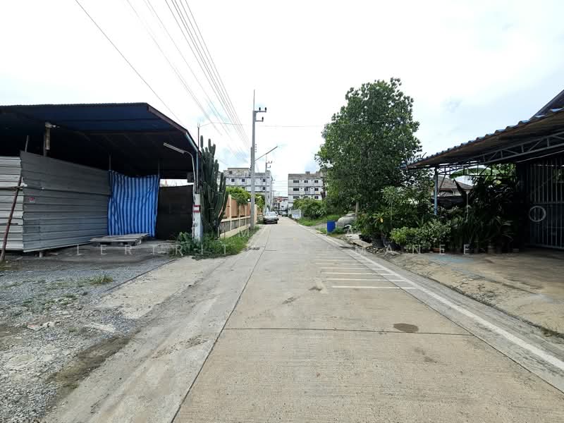 ที่ดิน ในตัวเมืองปทุมธานี ใกล้ถนนปทุมธานี-สายใน, ปทุมธานี, ปทุมธานี - สายใน, บางขะแยง, เมืองปทุมธานี, ปทุมธานี, 1,600 ตร.ม., ที่ดิน ขาย, โดย Pimlada Lertritrungmanee, 60058294 - DDproperty.com