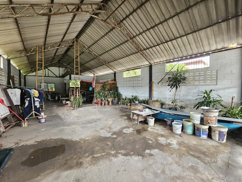 ที่ดิน ในตัวเมืองปทุมธานี ใกล้ถนนปทุมธานี-สายใน, ปทุมธานี, ปทุมธานี - สายใน, บางขะแยง, เมืองปทุมธานี, ปทุมธานี, 1,600 ตร.ม., ที่ดิน ขาย, โดย Pimlada Lertritrungmanee, 60058294 - DDproperty.com