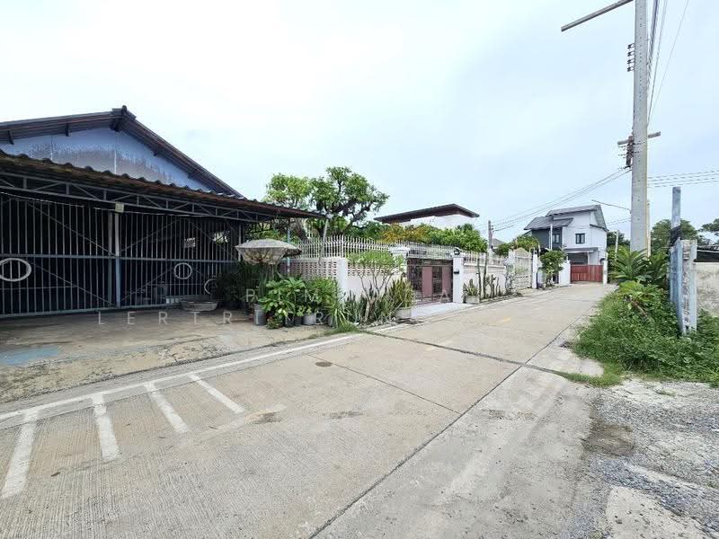 ที่ดิน ในตัวเมืองปทุมธานี ใกล้ถนนปทุมธานี-สายใน, ปทุมธานี, ปทุมธานี - สายใน, บางขะแยง, เมืองปทุมธานี, ปทุมธานี, 400 ตร.ม., ที่ดิน ขาย, โดย Pimlada Lertritrungmanee, 60058294 - DDproperty.com