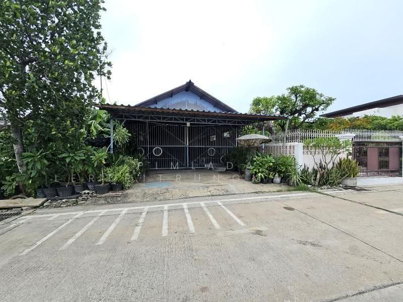 ที่ดิน ในตัวเมืองปทุมธานี ใกล้ถนนปทุมธานี-สายใน, ปทุมธานี, ปทุมธานี - สายใน, บางขะแยง, เมืองปทุมธานี, ปทุมธานี, 400 ตร.ม., ที่ดิน ขาย, โดย Pimlada Lertritrungmanee, 60058294 - DDproperty.com