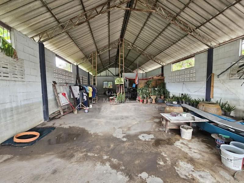 ที่ดิน ในตัวเมืองปทุมธานี ใกล้ถนนปทุมธานี-สายใน, ปทุมธานี, ปทุมธานี - สายใน, บางขะแยง, เมืองปทุมธานี, ปทุมธานี, 400 ตร.ม., ที่ดิน ขาย, โดย Pimlada Lertritrungmanee, 60058294 - DDproperty.com