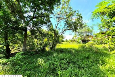 ขาย - BO-924571 ที่ดินโนนไทย 220.6 ตร.ว. นครราชสีมา ใกล้ที่ว่าการอำเภอโนนไทย, นครราชสีมา