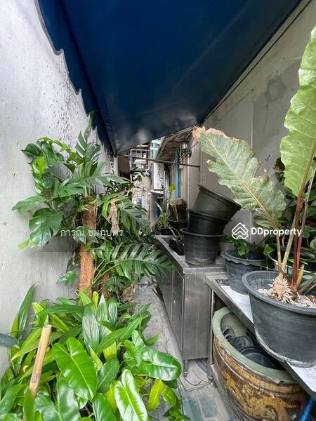 For Rent - ซอยเจริญกรุง 40, Bangkok