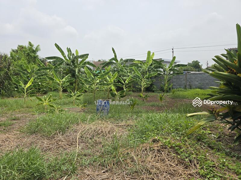 For Sale - Sale Land 99 sq wah about 500 m from Tiwanont Soi 32, Nonthaburi
