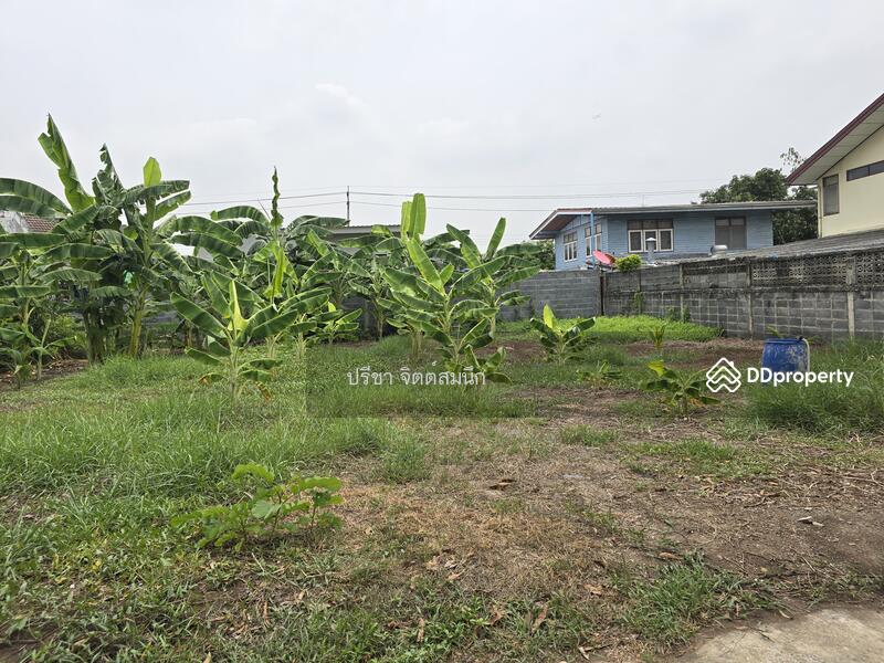 For Sale - Sale Land 99 sq wah about 500 m from Tiwanont Soi 32, Nonthaburi