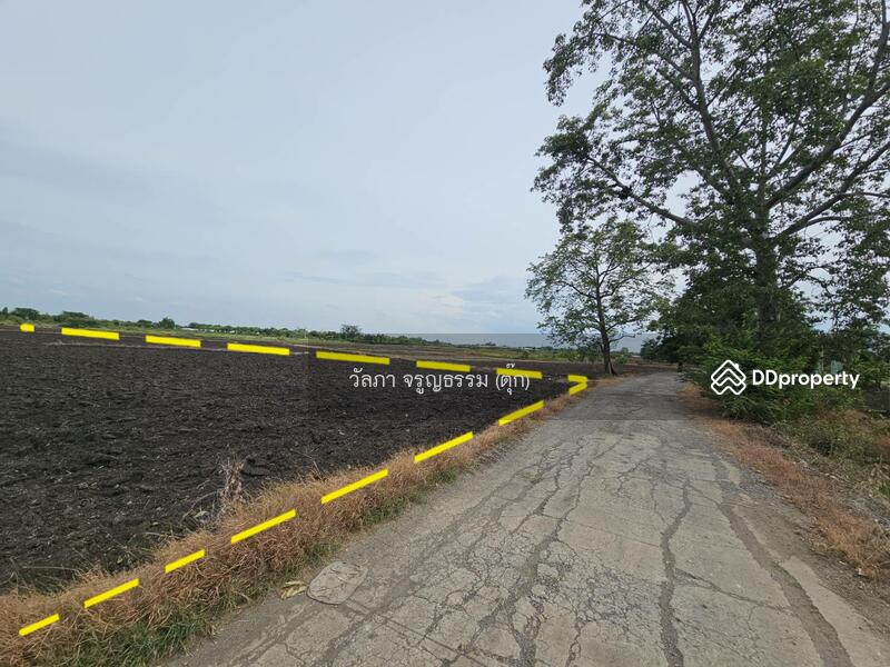 ขาย - ตำบลนิคมสร้างตนเอง อำเภอเมืองลพบุรี จังหวัดลพบุรี, ลพบุรี