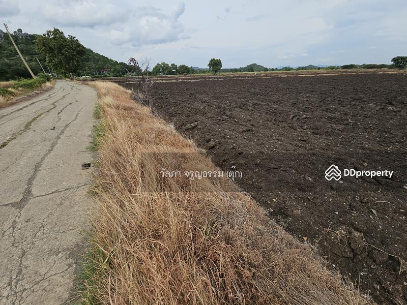 ขาย - ตำบลนิคมสร้างตนเอง อำเภอเมืองลพบุรี จังหวัดลพบุรี, ลพบุรี