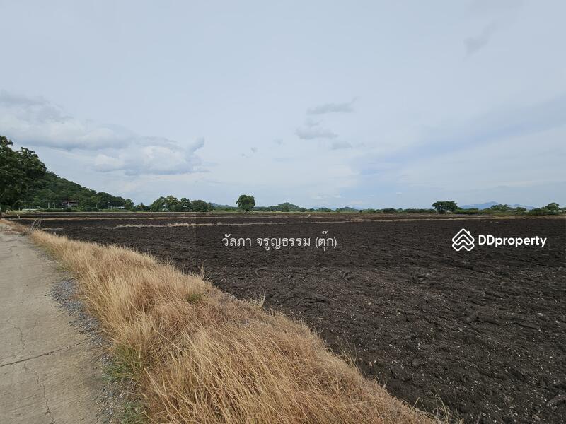 ขาย - ตำบลนิคมสร้างตนเอง อำเภอเมืองลพบุรี จังหวัดลพบุรี, ลพบุรี