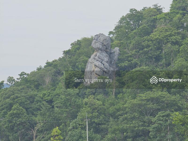 ขาย - ตำบลนิคมสร้างตนเอง อำเภอเมืองลพบุรี จังหวัดลพบุรี, ลพบุรี