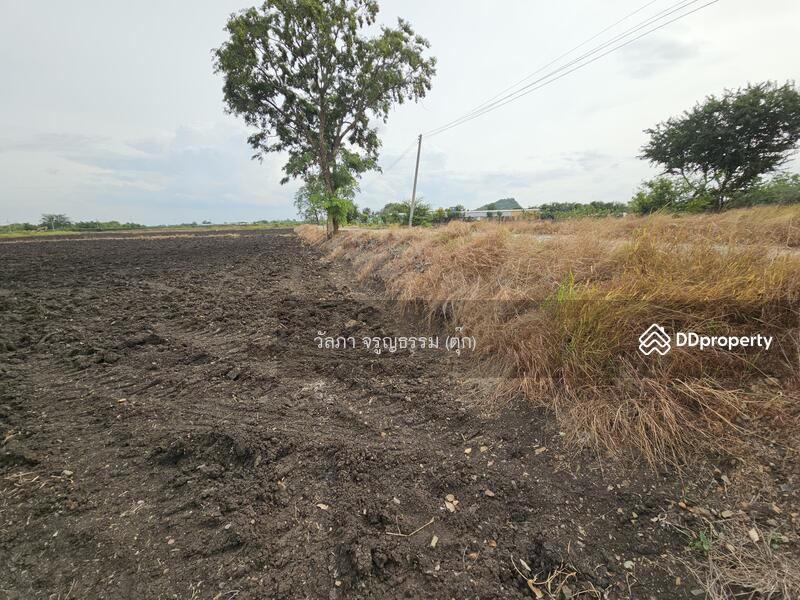 ขาย - ตำบลนิคมสร้างตนเอง อำเภอเมืองลพบุรี จังหวัดลพบุรี, ลพบุรี