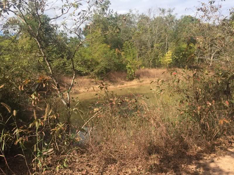 ที่ดินเปล่า ค่ายบกหวาน หนองคาย, Nong Khai, Rural Road Nong Khai 2076, Khai Bok Wan, Muang Nong Khai, Nong Khai, , 43,184 sqm, Land For Sale, by รัฐพล สิทธิศาสตร์สกุล, 6005909 - DDproperty.com