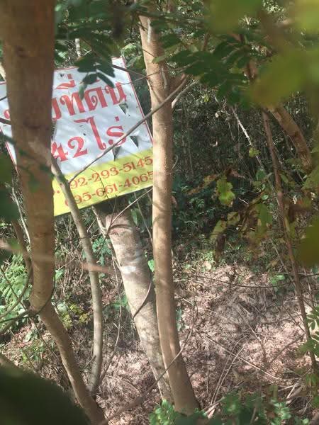 ที่ดินเปล่า ค่ายบกหวาน หนองคาย, Nong Khai, Rural Road Nong Khai 2076, Khai Bok Wan, Muang Nong Khai, Nong Khai, , 43,184 sqm, Land For Sale, by รัฐพล สิทธิศาสตร์สกุล, 6005909 - DDproperty.com