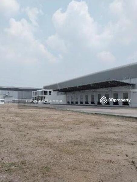 For Rent - Factory for rent, Bang Pakong, Chachoengsao, purple area, near Wellgrow Industrial Estate TW8-01225, Chachoengsao
