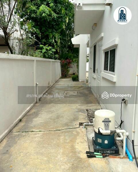 ขาย - Siwalee Sankampang : สีวลี สันกำแพง, เชียงใหม่