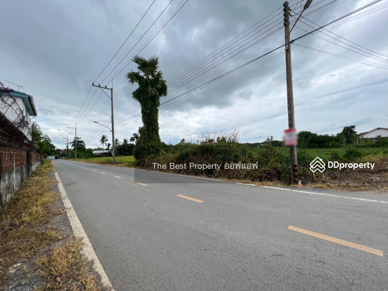 ขาย - ที่ดินสามพราน นครปฐม, นครปฐม