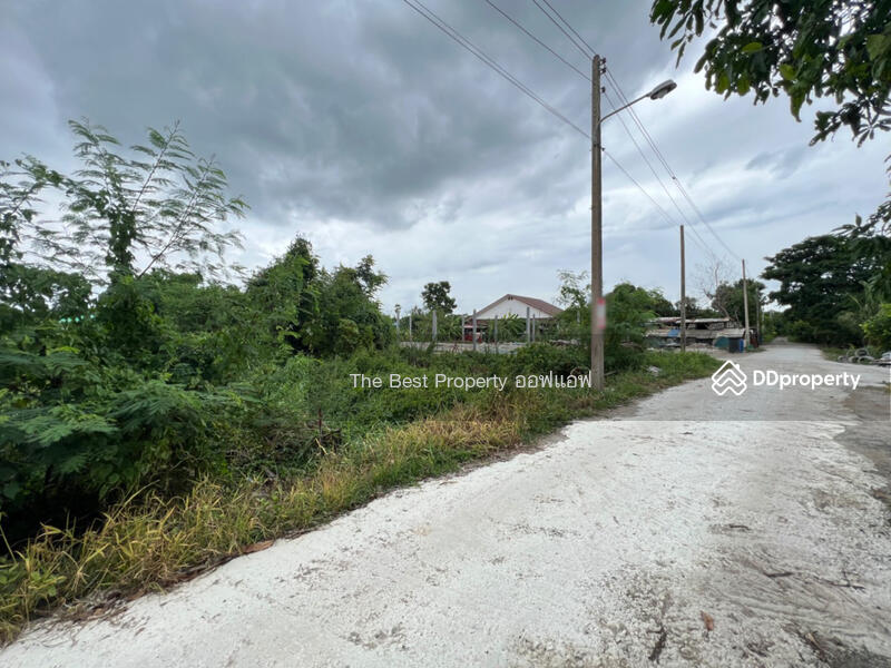 ขาย - ที่ดินสามพราน นครปฐม, นครปฐม